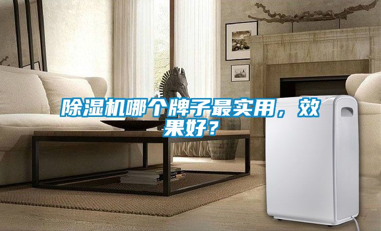 除濕機(jī)哪個牌子最實(shí)用，效果好？