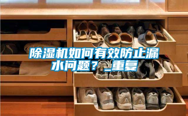除濕機如何有效防止漏水問題？_重復