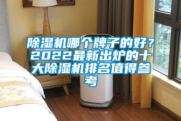 除濕機哪個牌子的好？2022最新出爐的十大除濕機排名值得參考