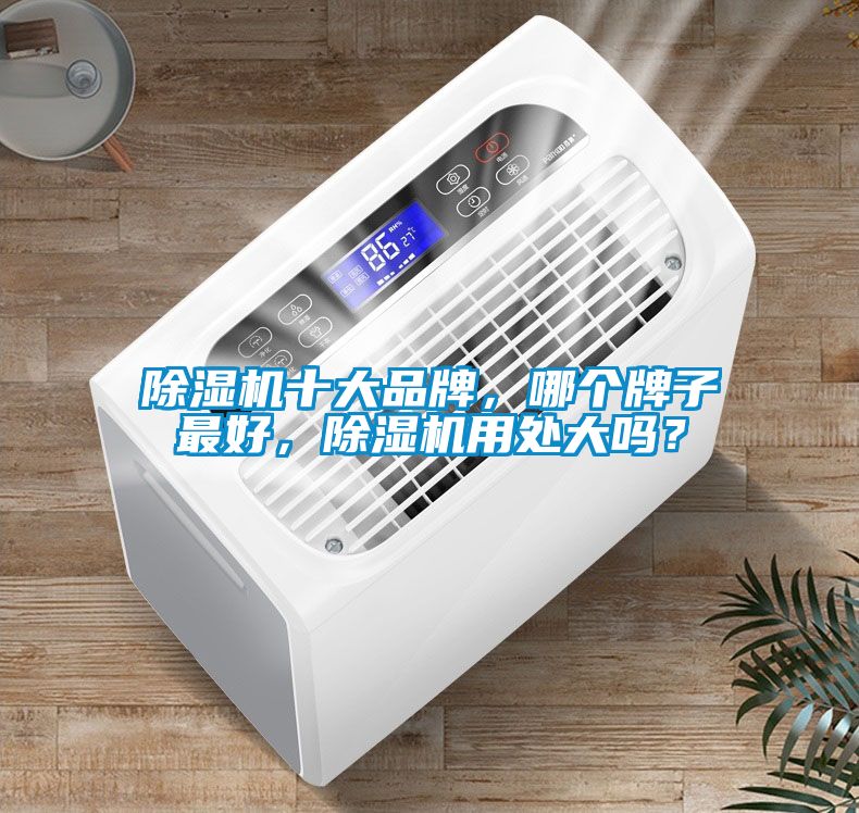 除濕機十大品牌，哪個牌子最好，除濕機用處大嗎？