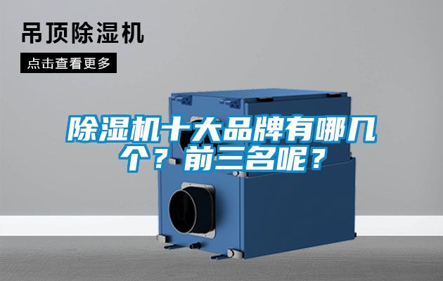 除濕機十大品牌有哪幾個？前三名呢？