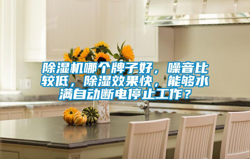除濕機哪個牌子好，噪音比較低，除濕效果快，能夠水滿自動斷電停止工作？