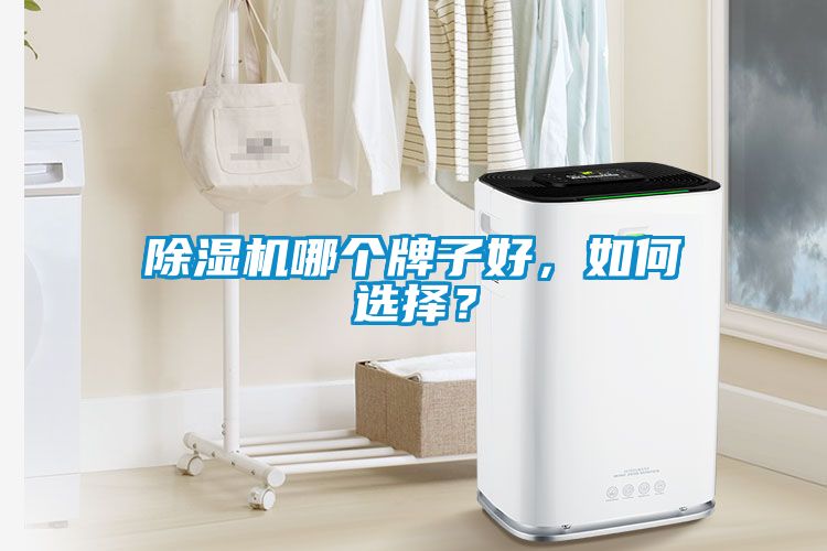 除濕機哪個牌子好，如何選擇？