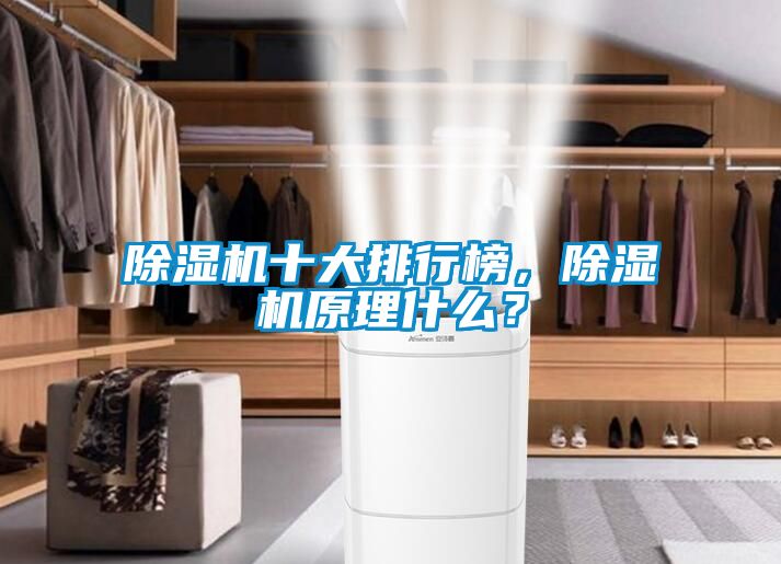 除濕機十大排行榜，除濕機原理什么？