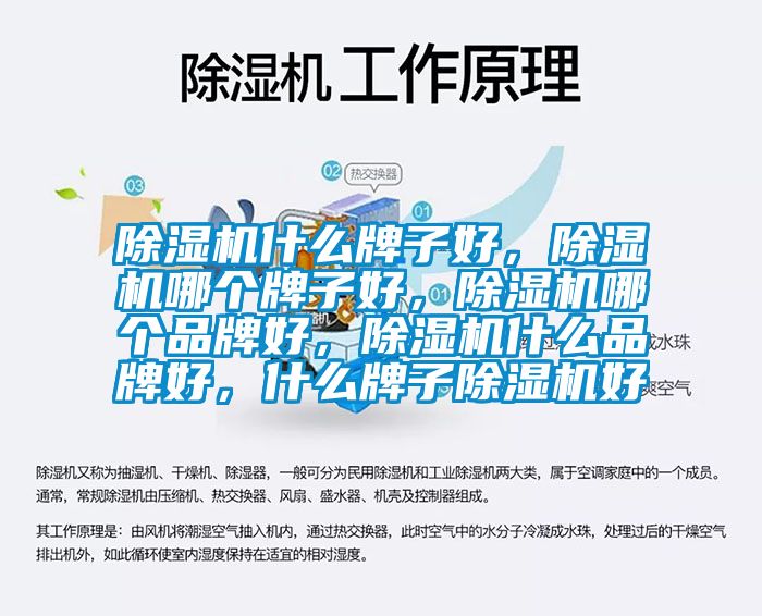 除濕機什么牌子好，除濕機哪個牌子好，除濕機哪個品牌好，除濕機什么品牌好，什么牌子除濕機好