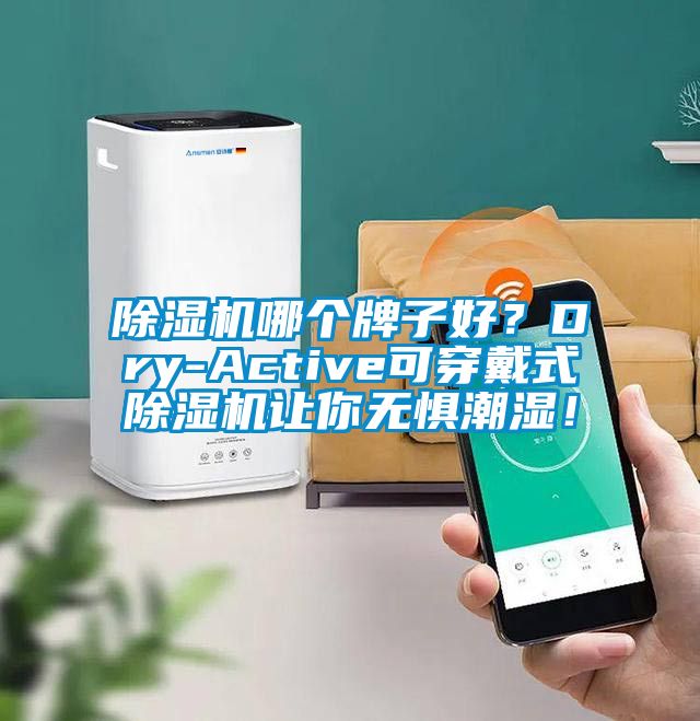 除濕機哪個牌子好？Dry-Active可穿戴式除濕機讓你無懼潮濕！