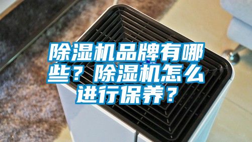 除濕機品牌有哪些？除濕機怎么進行保養(yǎng)？