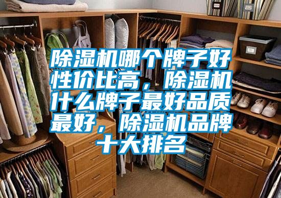 除濕機哪個牌子好性價比高，除濕機什么牌子最好品質(zhì)最好，除濕機品牌十大排名