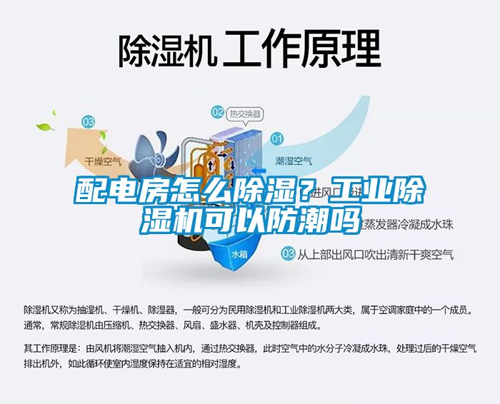 配電房怎么除濕？工業(yè)除濕機(jī)可以防潮嗎