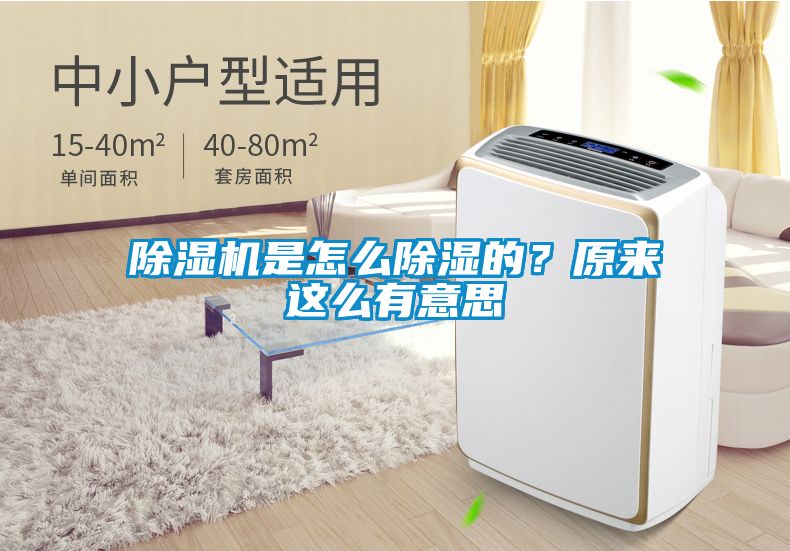 除濕機是怎么除濕的？原來這么有意思
