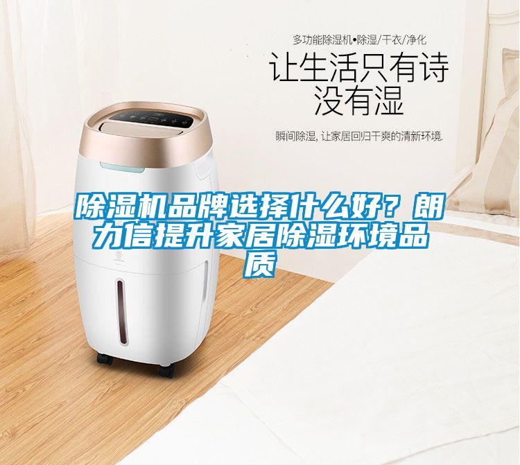 除濕機(jī)品牌選擇什么好？朗力信提升家居除濕環(huán)境品質(zhì)