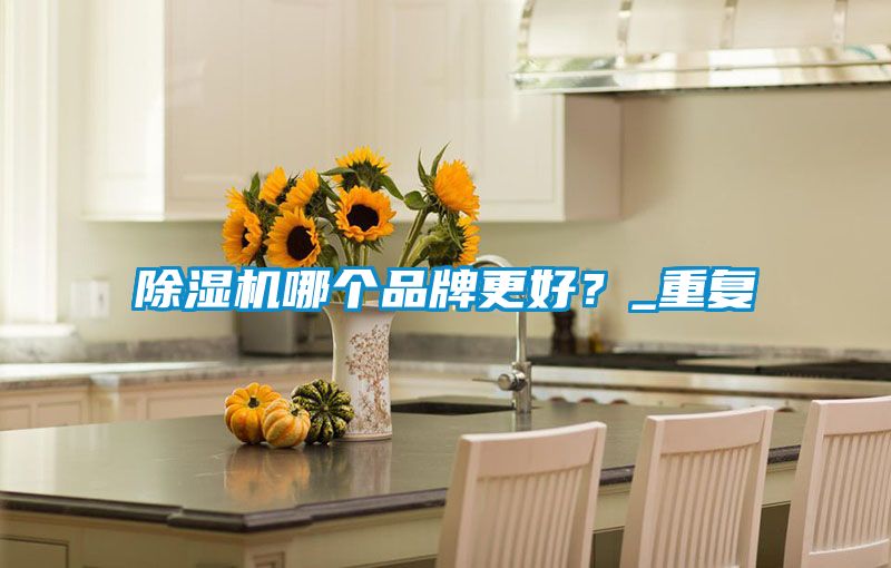 除濕機(jī)哪個品牌更好？_重復(fù)