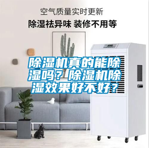 除濕機真的能除濕嗎？除濕機除濕效果好不好？