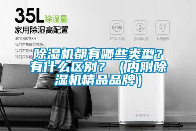 除濕機(jī)都有哪些類型？有什么區(qū)別？（內(nèi)附除濕機(jī)精品品牌）