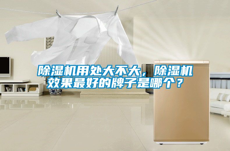 除濕機用處大不大，除濕機效果最好的牌子是哪個？
