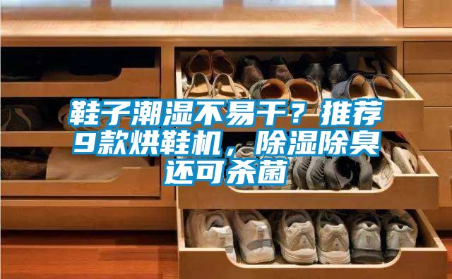 鞋子潮濕不易干？推薦9款烘鞋機，除濕除臭還可殺菌
