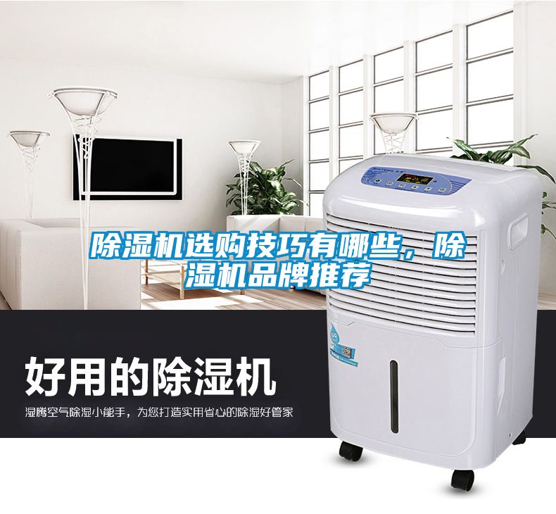 除濕機(jī)選購(gòu)技巧有哪些，除濕機(jī)品牌推薦