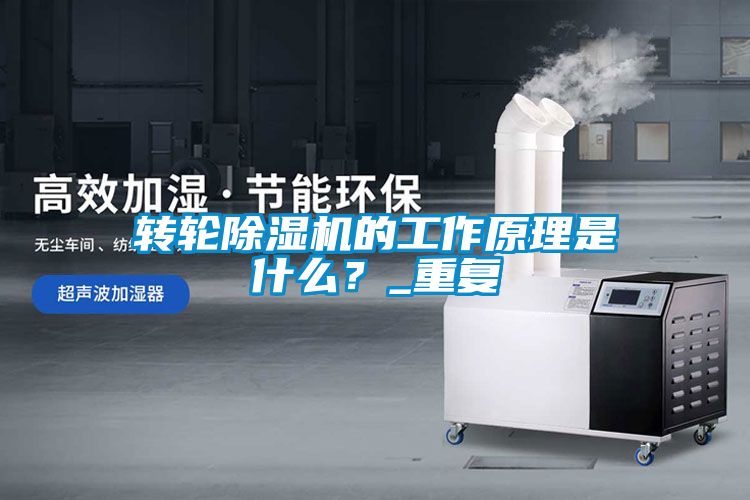 轉輪除濕機的工作原理是什么？_重復