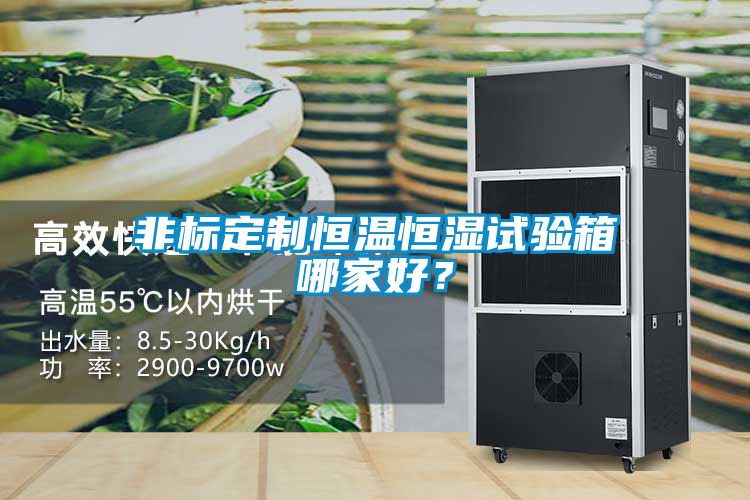 非標(biāo)定制恒溫恒濕試驗(yàn)箱哪家好？