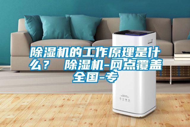 除濕機的工作原理是什么？ 除濕機-網點覆蓋全國-專