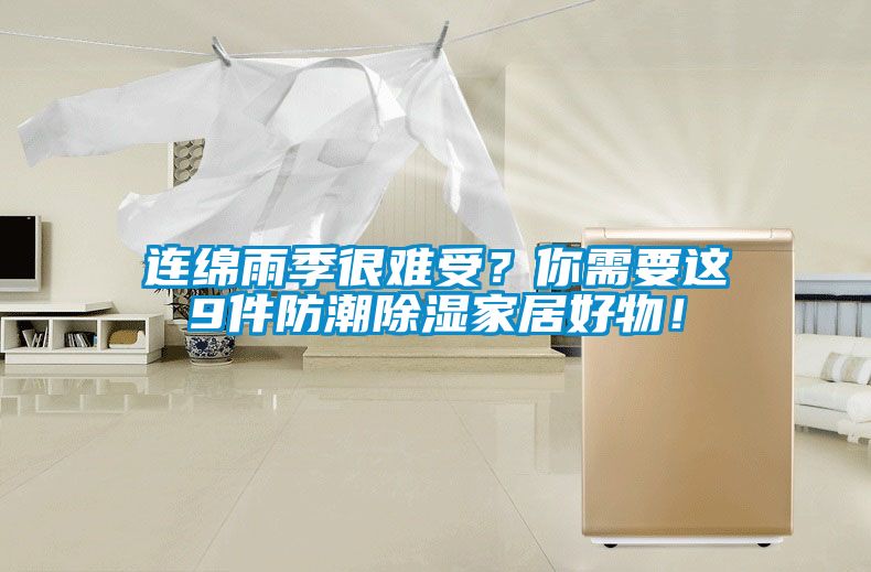 連綿雨季很難受？你需要這9件防潮除濕家居好物！