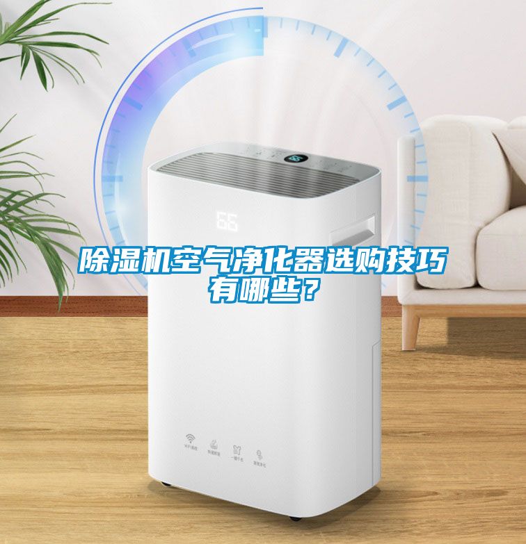 除濕機空氣凈化器選購技巧有哪些？