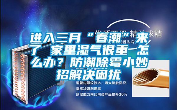 進入三月“春潮”來了 家里濕氣很重 怎么辦？防潮除霉小妙招解決困擾