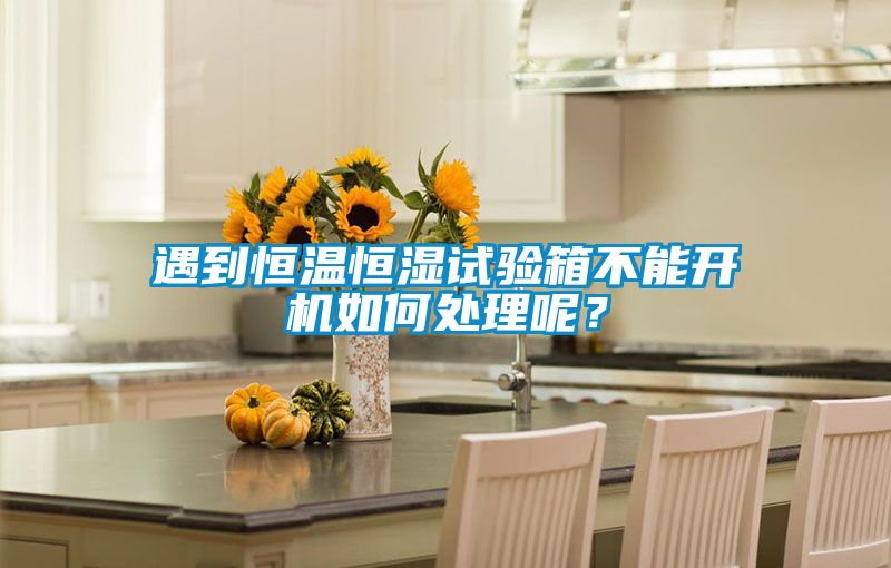 遇到恒溫恒濕試驗箱不能開機(jī)如何處理呢？