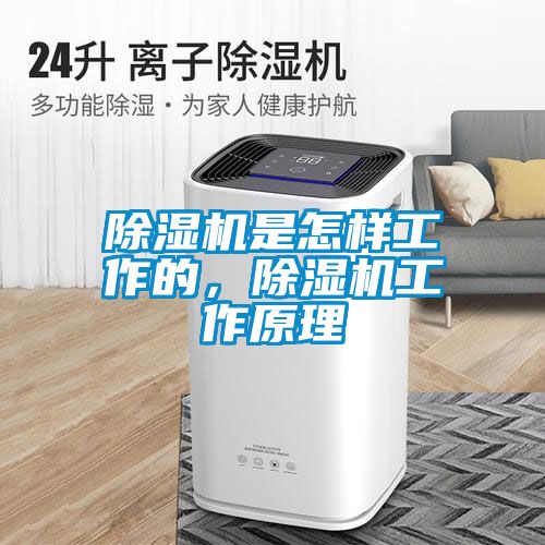 除濕機是怎樣工作的，除濕機工作原理