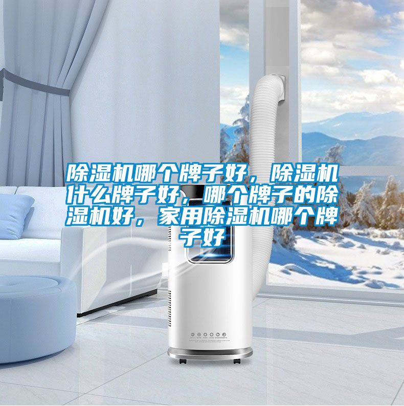 除濕機哪個牌子好，除濕機什么牌子好，哪個牌子的除濕機好，家用除濕機哪個牌子好