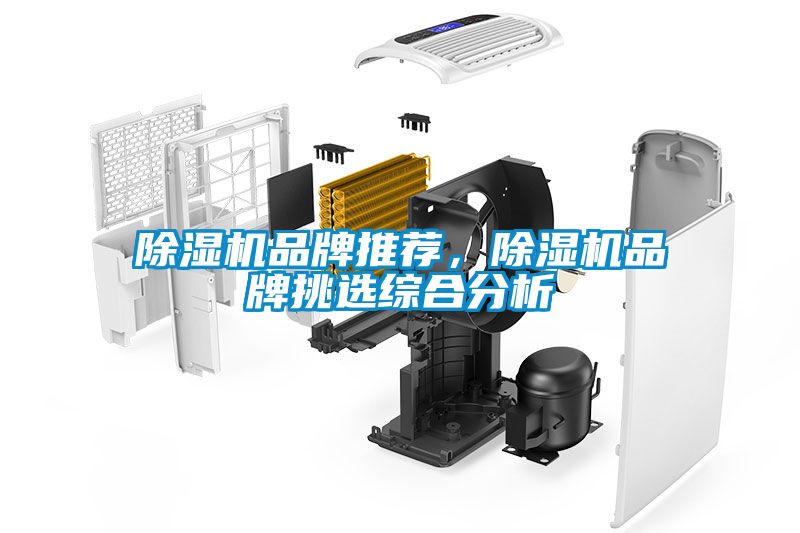 除濕機品牌推薦，除濕機品牌挑選綜合分析