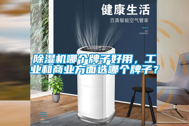 除濕機哪個牌子好用，工業(yè)和商業(yè)方面選哪個牌子？
