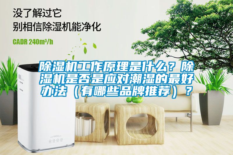 除濕機工作原理是什么？除濕機是否是應對潮濕的最好辦法（有哪些品牌推薦）？