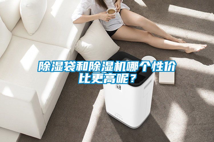 除濕袋和除濕機哪個性價比更高呢？