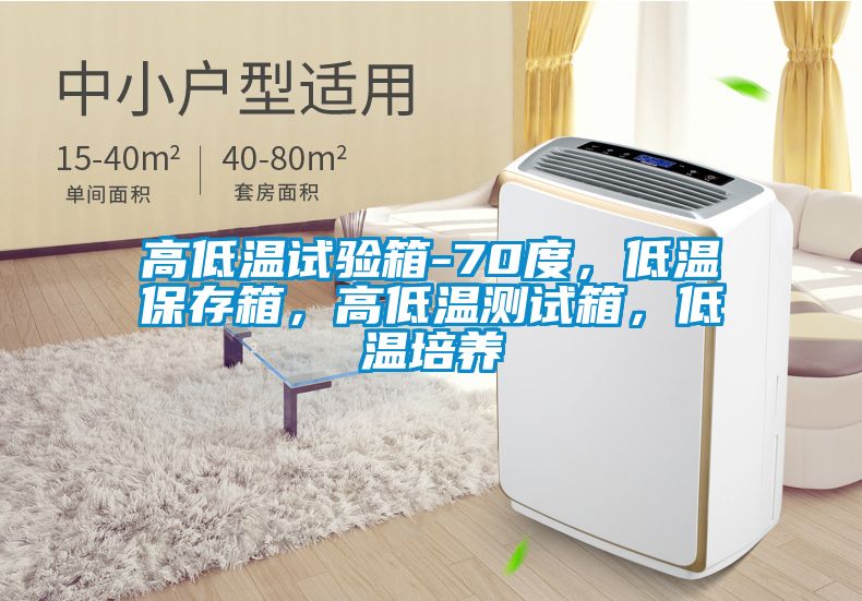 高低溫試驗箱-70度，低溫保存箱，高低溫測試箱，低溫培養(yǎng)