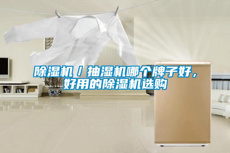 除濕機／抽濕機哪個牌子好，好用的除濕機選購