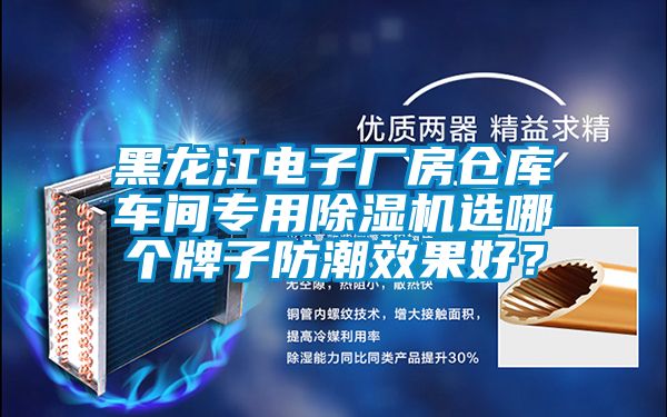 黑龍江電子廠房倉庫車間專用除濕機(jī)選哪個牌子防潮效果好？