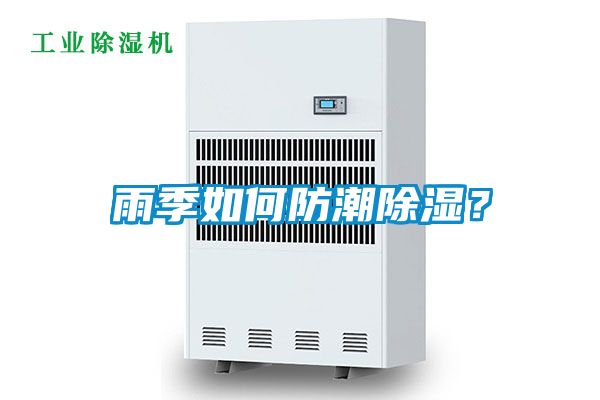 雨季如何防潮除濕？