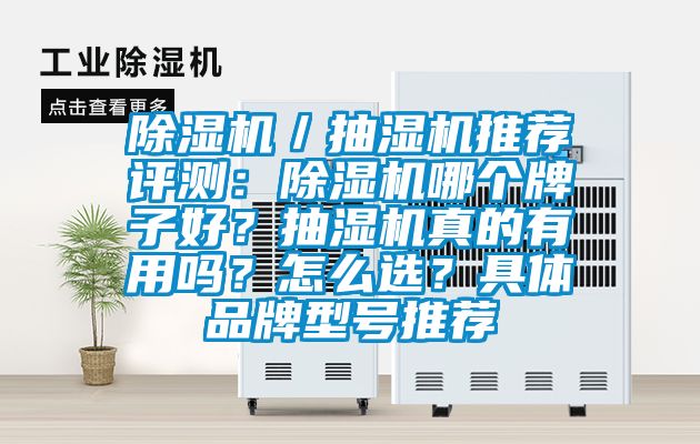 除濕機／抽濕機推薦評測：除濕機哪個牌子好？抽濕機真的有用嗎？怎么選？具體品牌型號推薦
